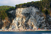 Spiagge Elba