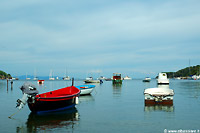 Images de l'île d'Elbe