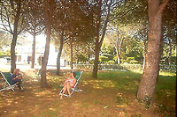 Procchio beach: 3 star Hotel Edera - Elba island