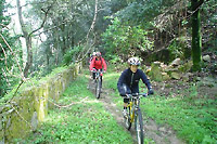 Giro bicicletta dell'Elba