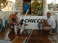 Fishing excursions around the island of Elba