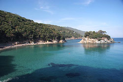 Spiaggia La Paolina, Elba